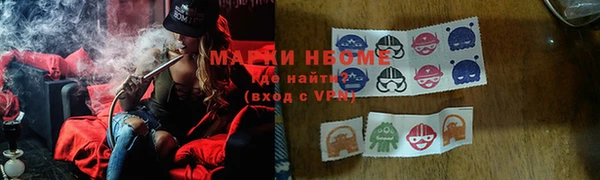 прущие грибы Арсеньев