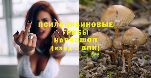 прущие грибы Арсеньев