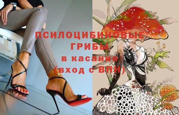 бошки Аркадак